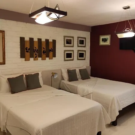 Suites Viveros de Coyoacán, estilo y comfort